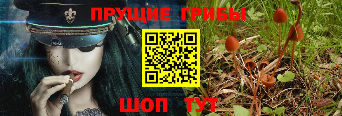 Галлюциногенные грибы Psilocybe Набережные Челны