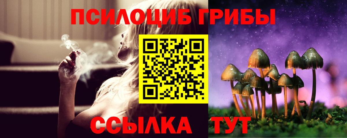 Псилоцибиновые грибы мицелий  Вход с VPN  Набережные Челны 